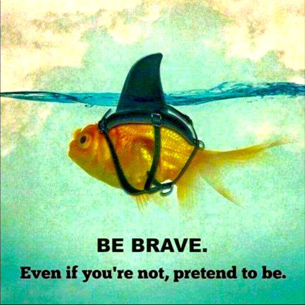 Meet your Posher, Lisa